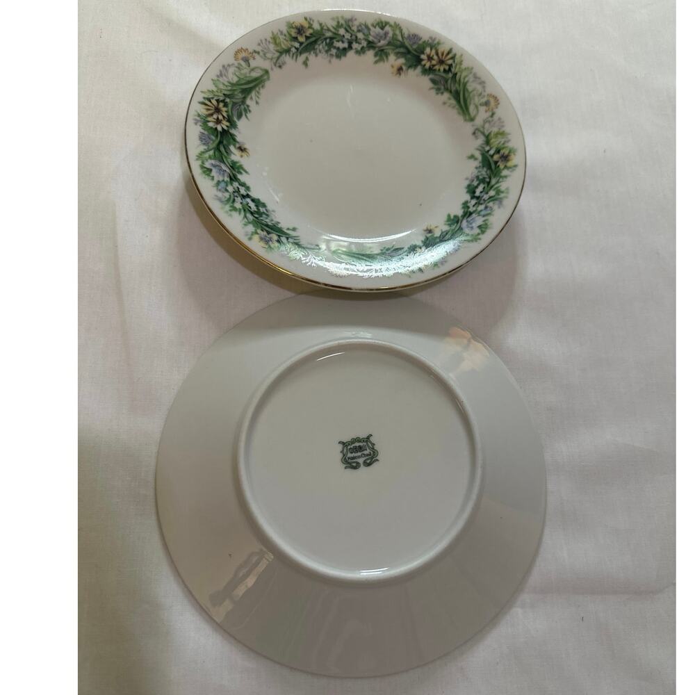 Replacement 3 dessert plates.1 cup saucer VTG china with green floral pattern,